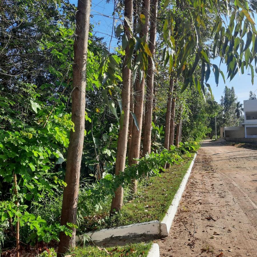 度假居 Viva! 1 Casa Nova Em Entre Maragogi E Carneiros São José da Coroa Grande
